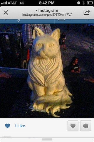 Illustration for article titled My night at the 2013 Internet Cat Video Festival
